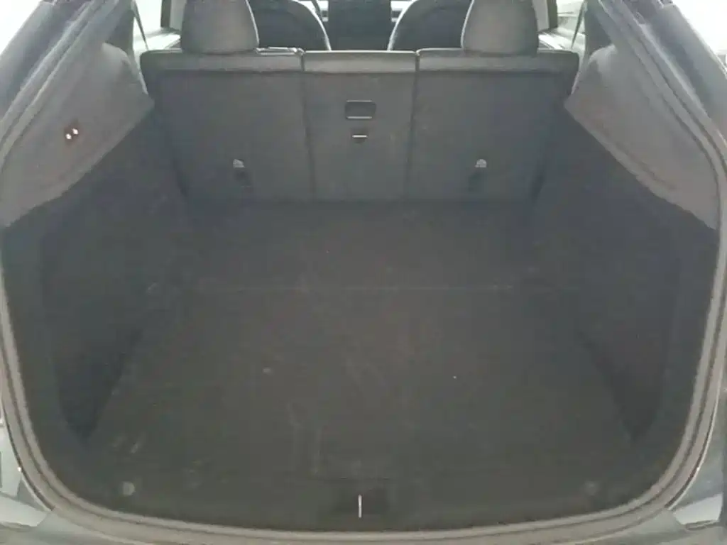 Tesla Model Y — миниатюра 19
