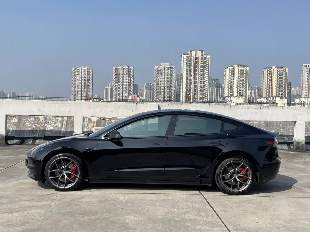 Tesla Model 3 — миниатюра 5