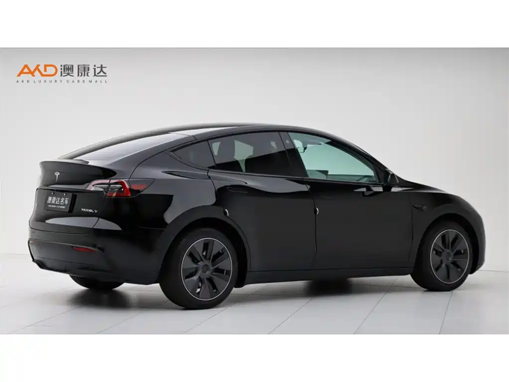 Tesla Model Y — миниатюра 3