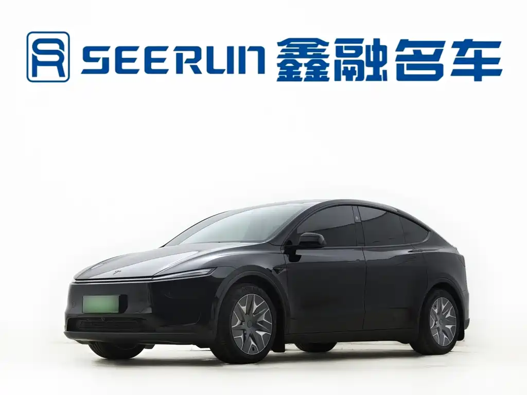 Tesla Model Y L — миниатюра 3