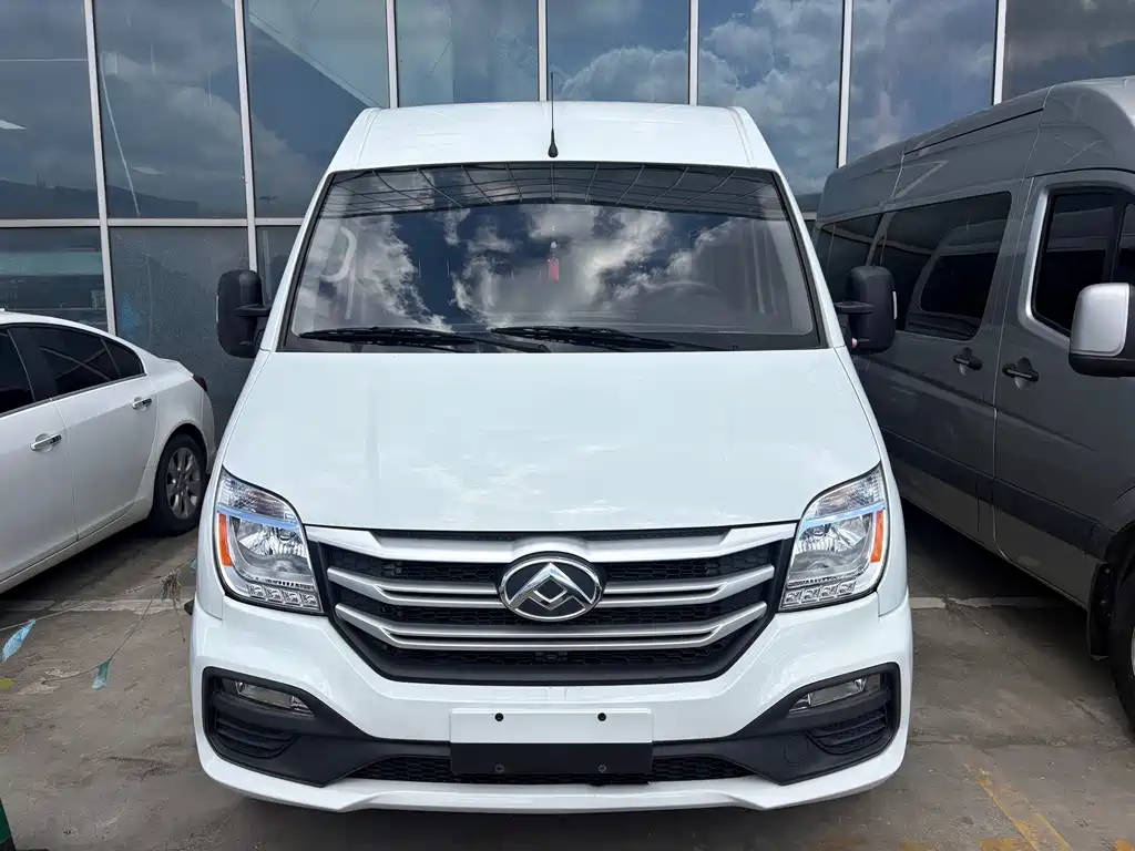 MAXUS V80 — миниатюра 2