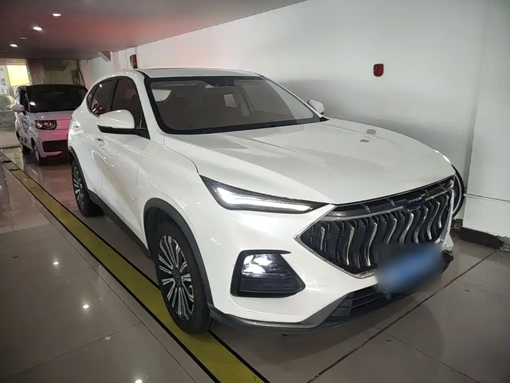 Oshan Oushang X5 — миниатюра 4