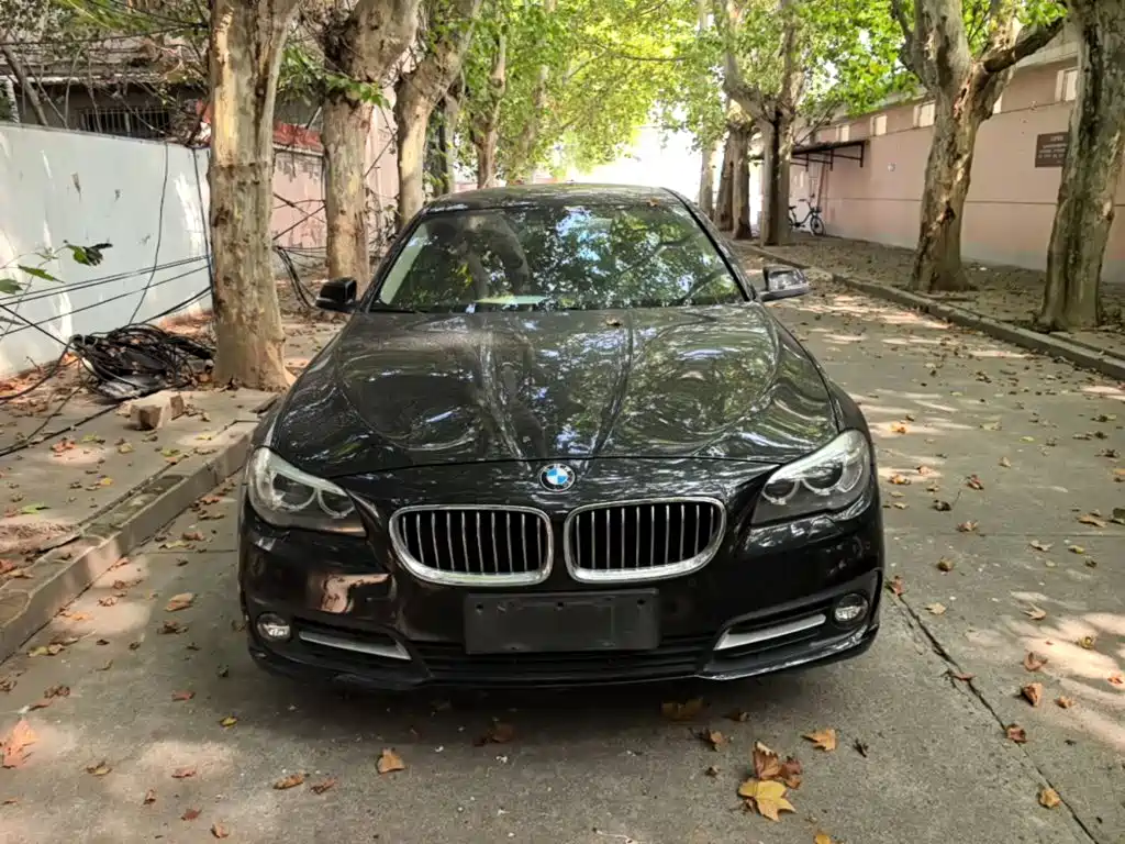 BMW 5 Series (Import) — миниатюра 3