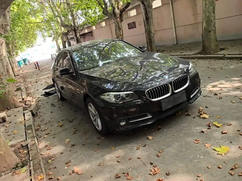 BMW 5 Series (Import) — миниатюра 4