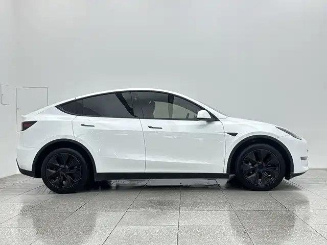Tesla Model Y — миниатюра 7