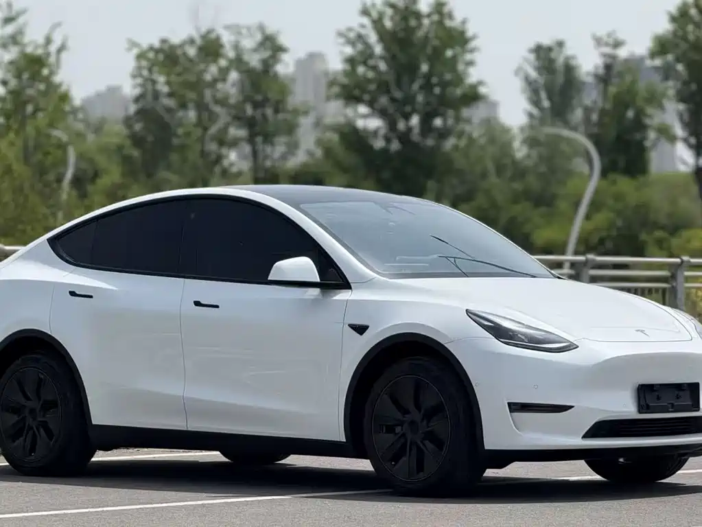 Tesla Model Y — миниатюра 4
