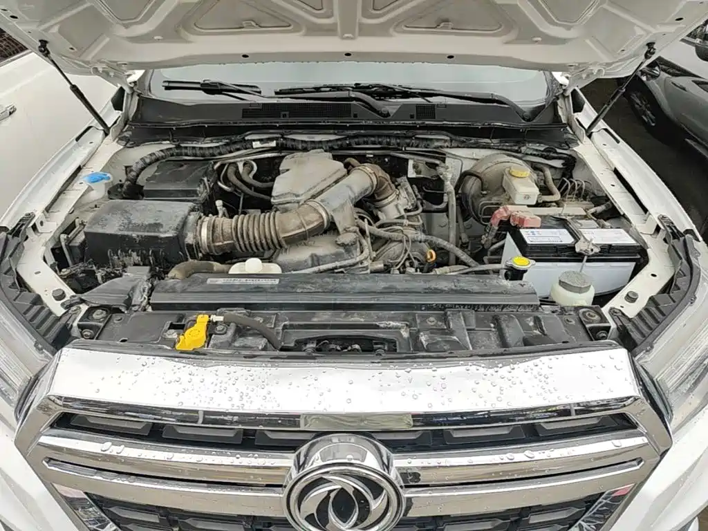 Dongfeng Rich 6 — миниатюра 20