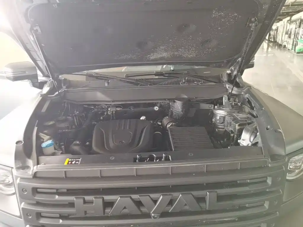 Haval Menglong New Energy — миниатюра 22