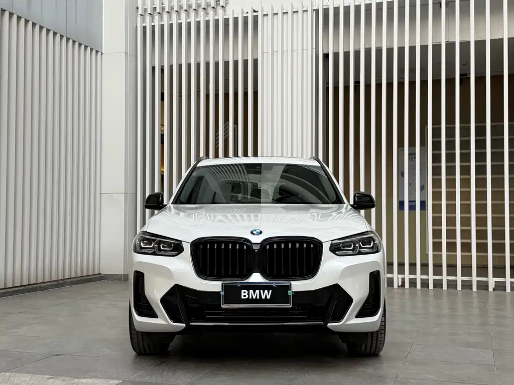 BMW X3 — миниатюра 2