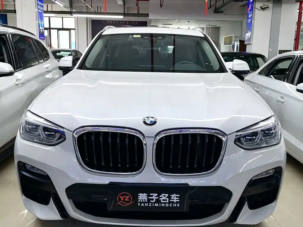 BMW X3 — миниатюра 2