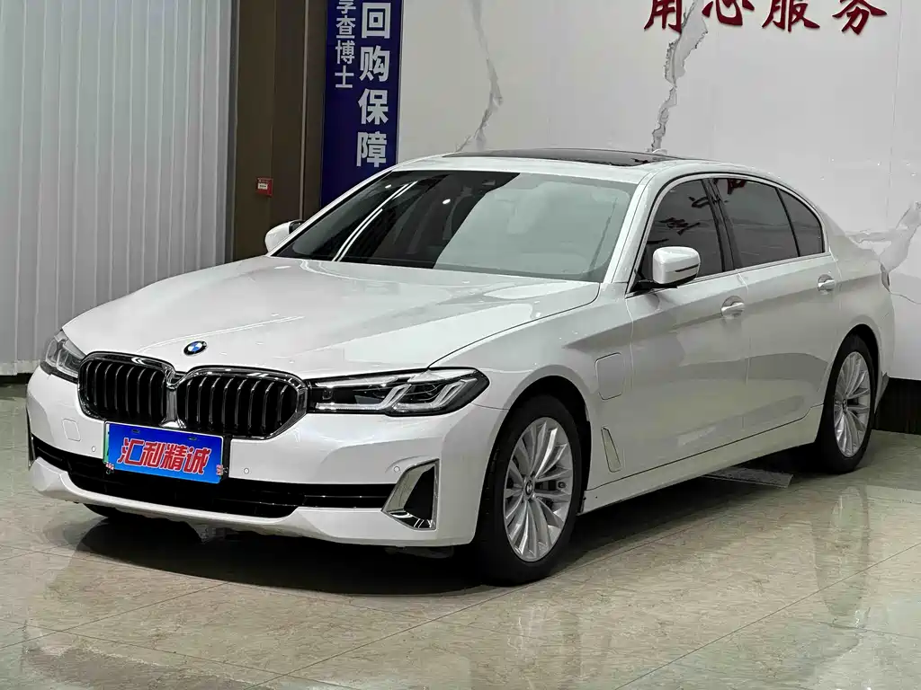 BMW 5 Series New Energy 2021