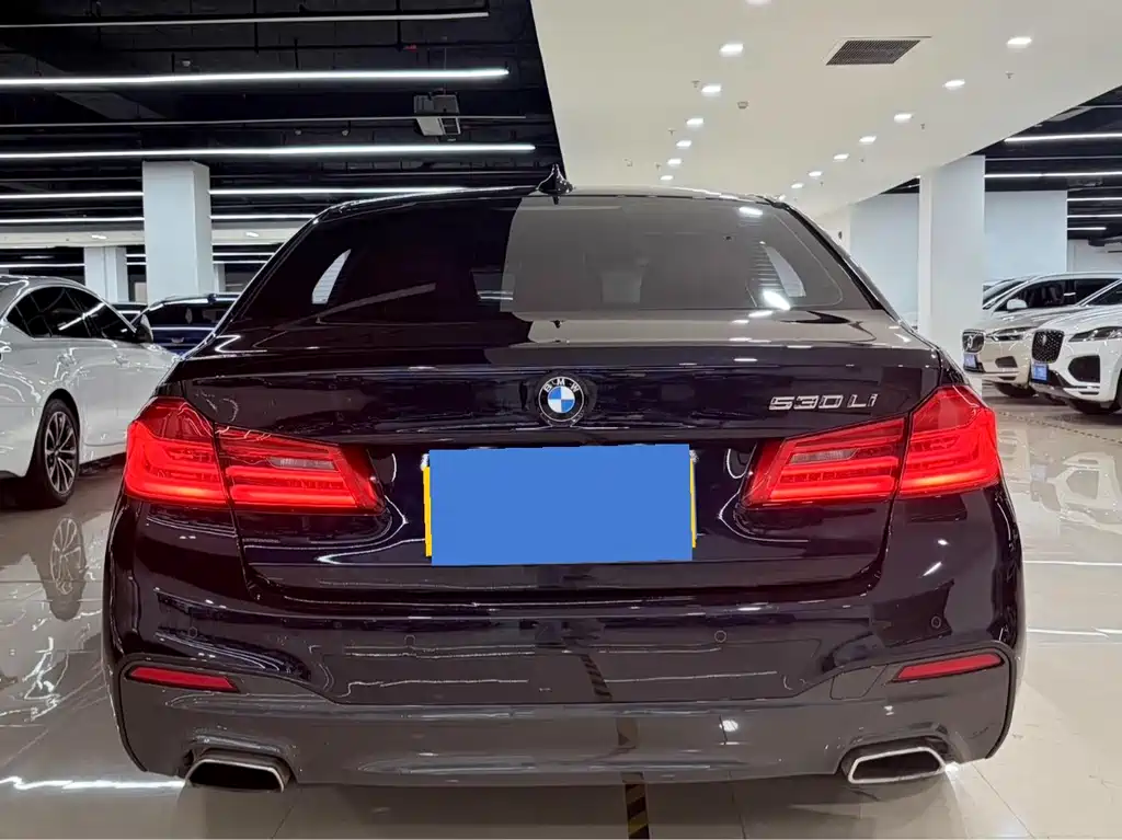 BMW 5 Series — миниатюра 5