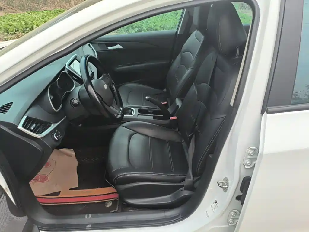 Chevrolet Cavalier — миниатюра 15