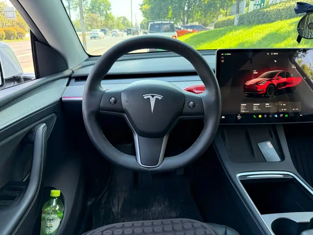 Tesla Model Y — миниатюра 14
