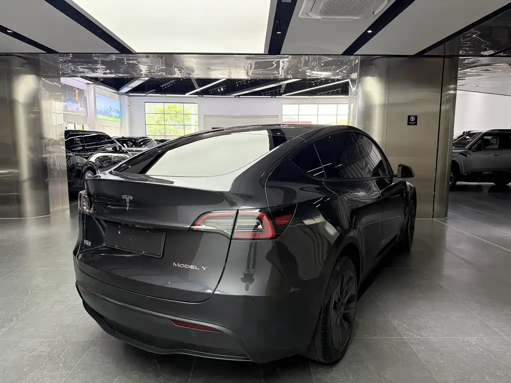 Tesla Model Y — миниатюра 14