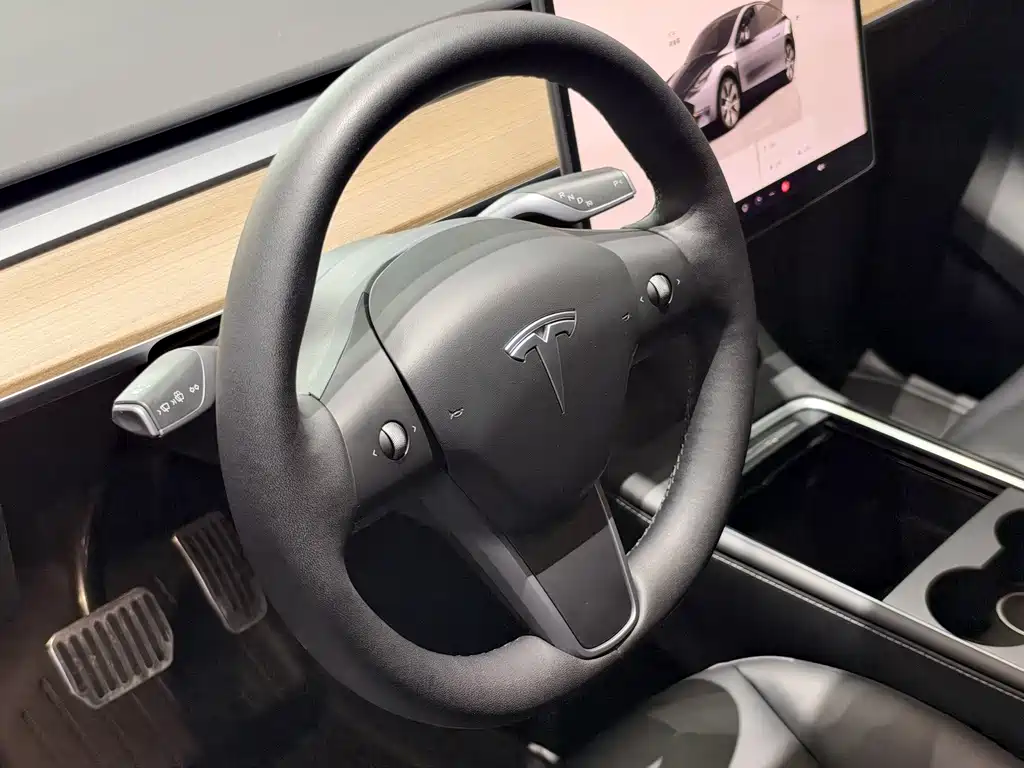 Tesla Model Y — миниатюра 4