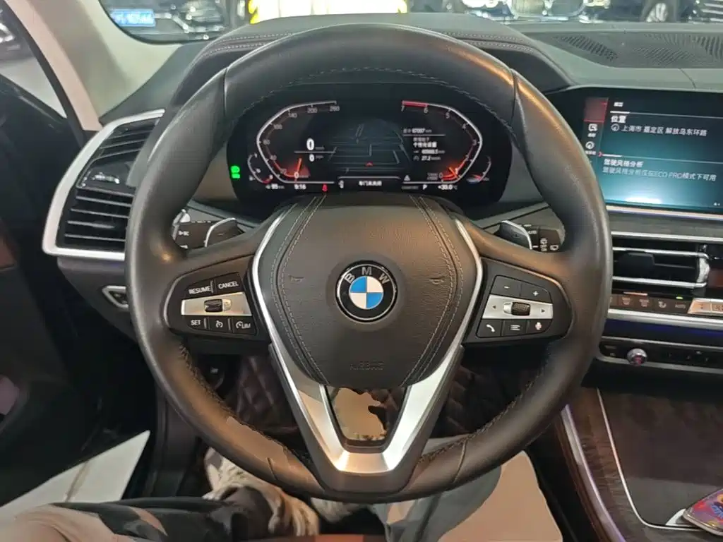 BMW X5 (Import) — миниатюра 11