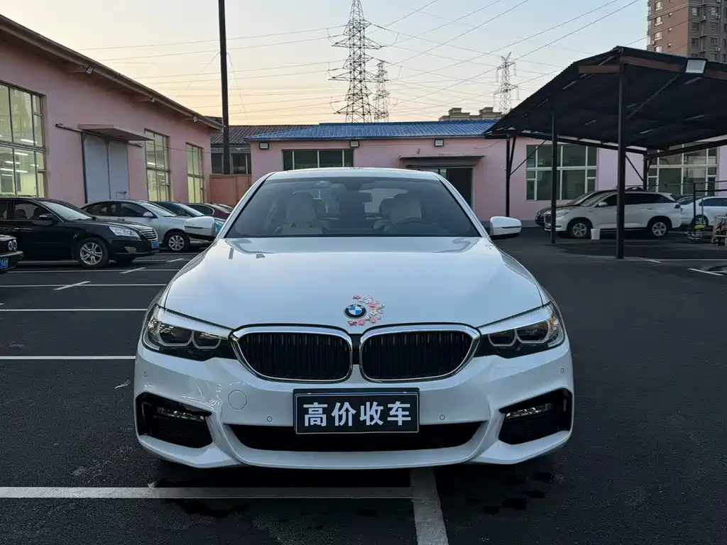 BMW 5 Series 5 2018 525Li M Sport