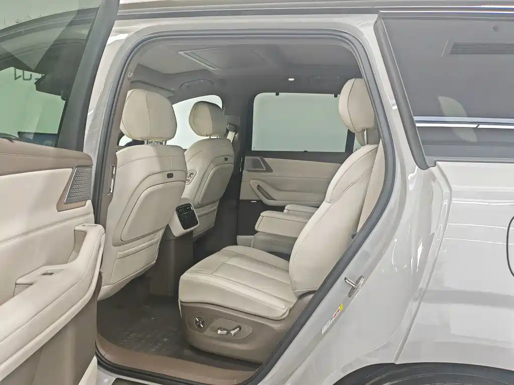 Denza Denza N8L — миниатюра 17
