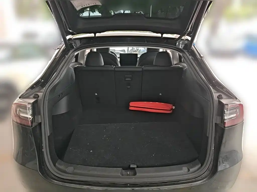 Tesla Model Y — миниатюра 24