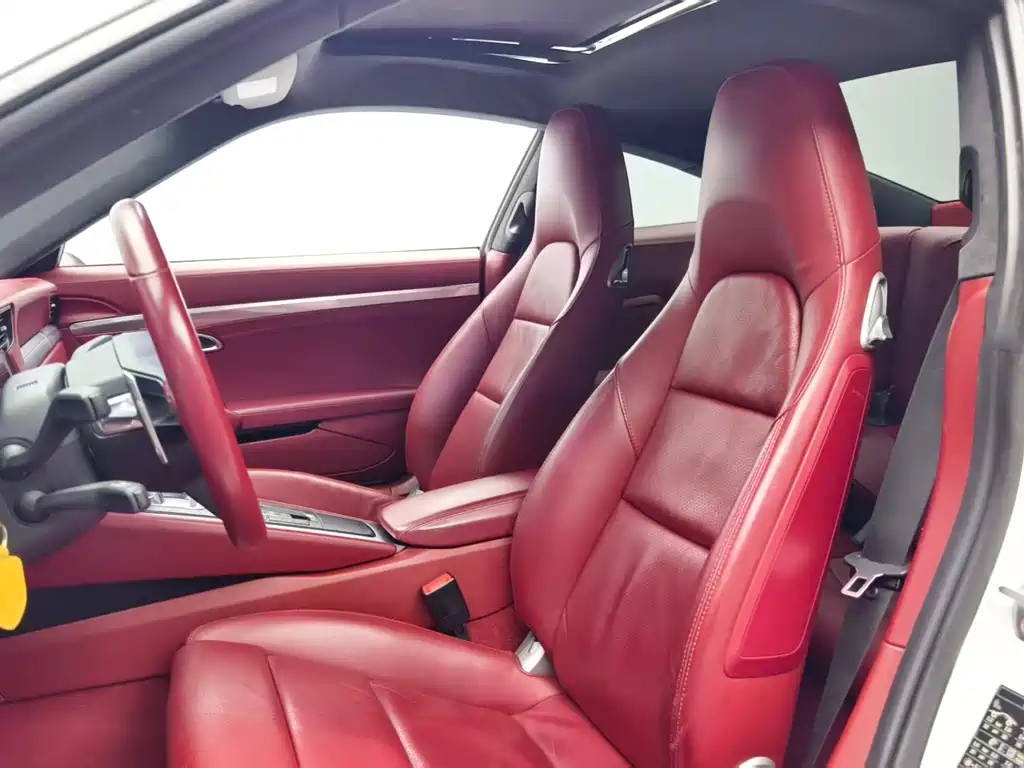 Porsche 911 — миниатюра 13