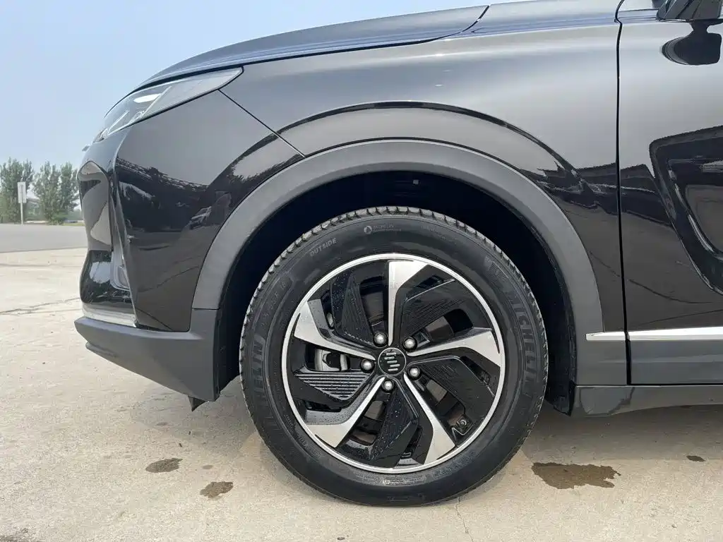 WM Motor EX6 — миниатюра 9