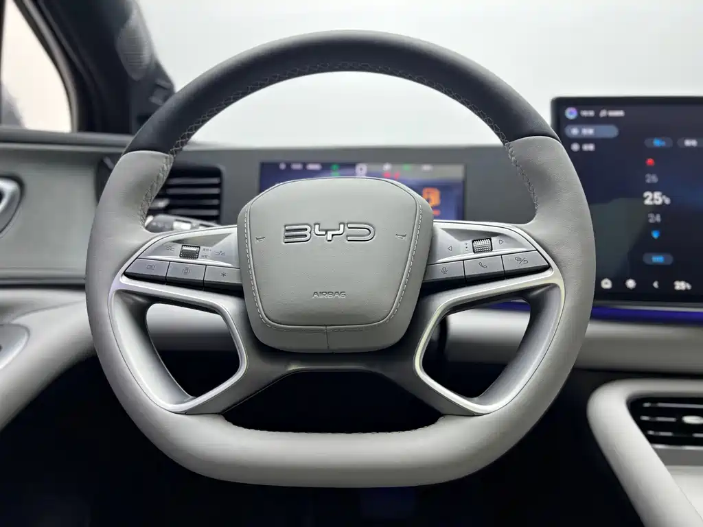 BYD Sealion 06 — миниатюра 11