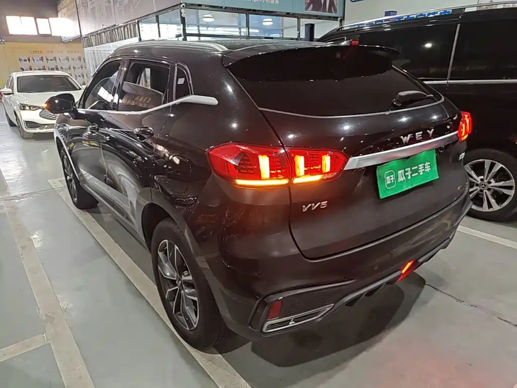 Wey Wey VV5 — миниатюра 5