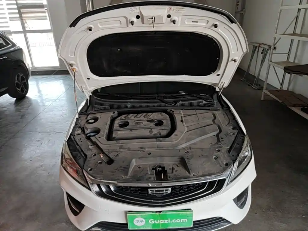Geely Binrui — миниатюра 20