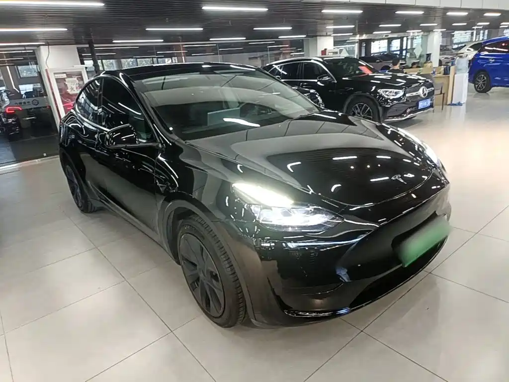 Tesla Model Y — миниатюра 4