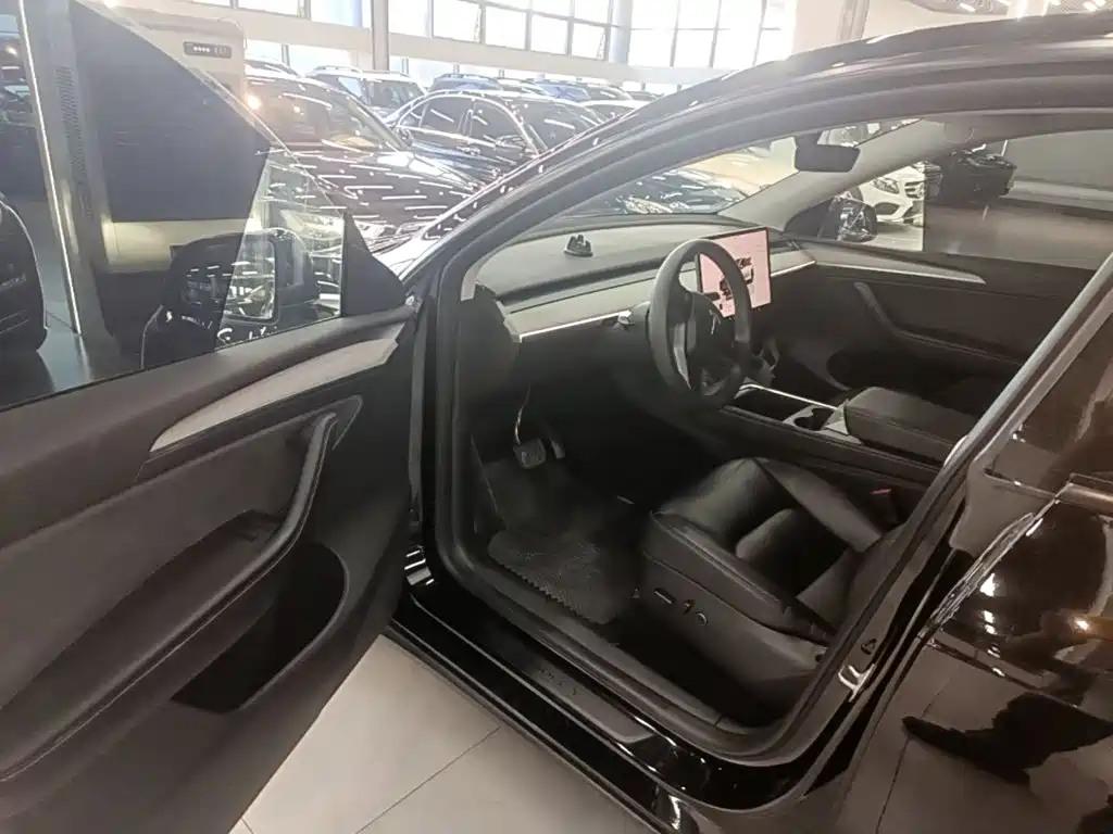 Tesla Model Y — миниатюра 16