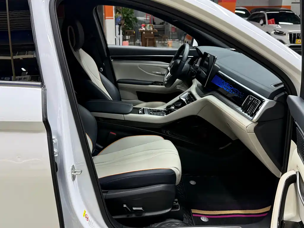 BYD PLUS New Energy — миниатюра 9