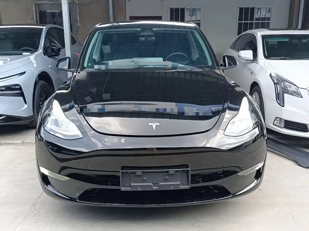 Tesla Model Y — миниатюра 3