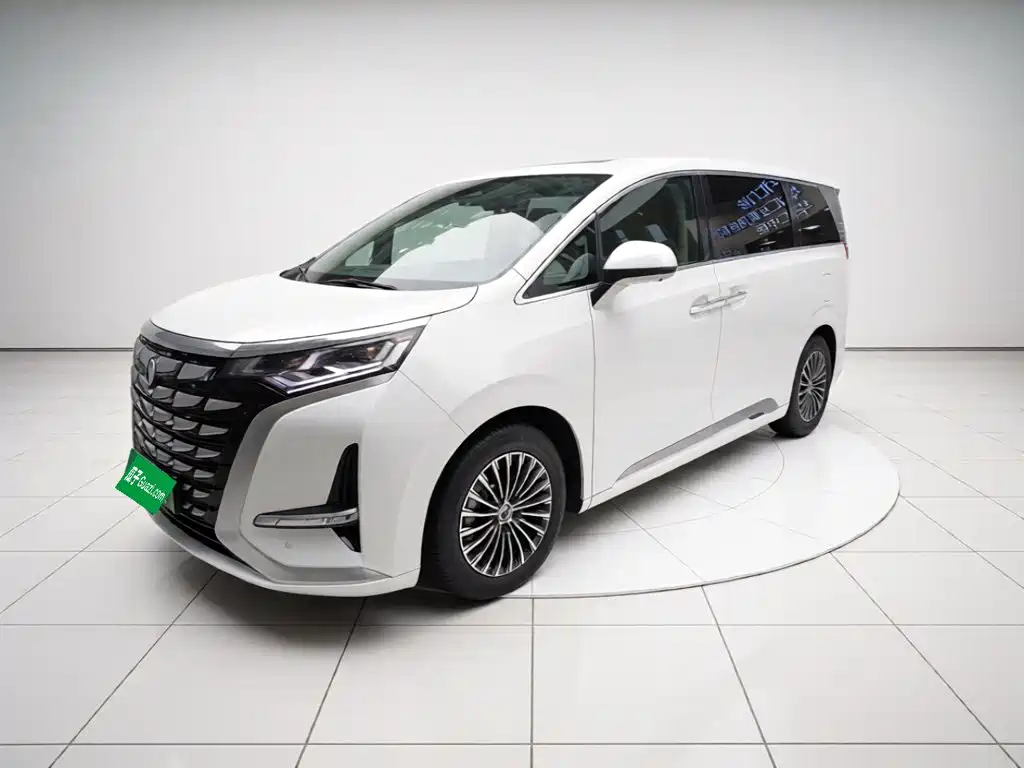 Denza Denza D9 — миниатюра 2