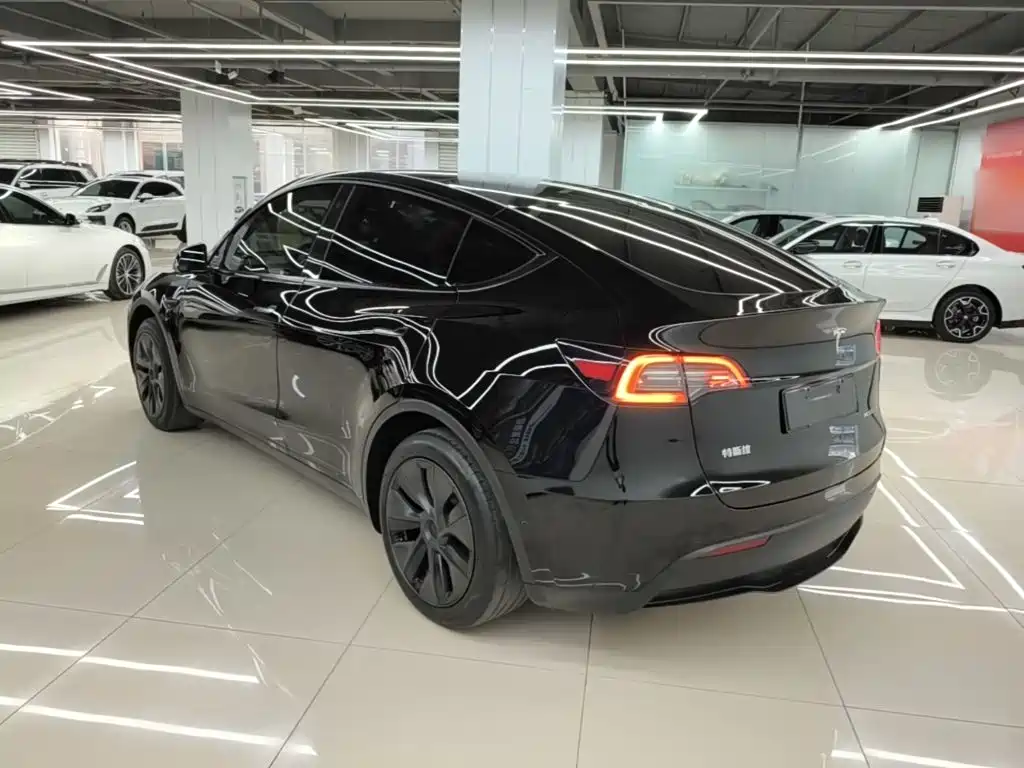 Tesla Model Y — миниатюра 5