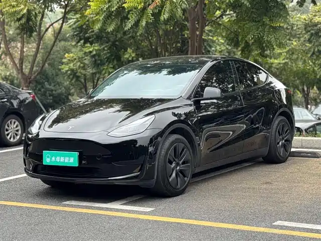 TESLA MODEL Y 2024