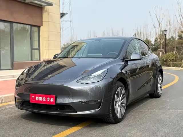 TESLA MODEL Y 2021