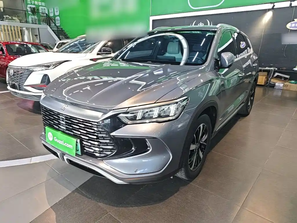 BYD Pro New Energy — миниатюра 2