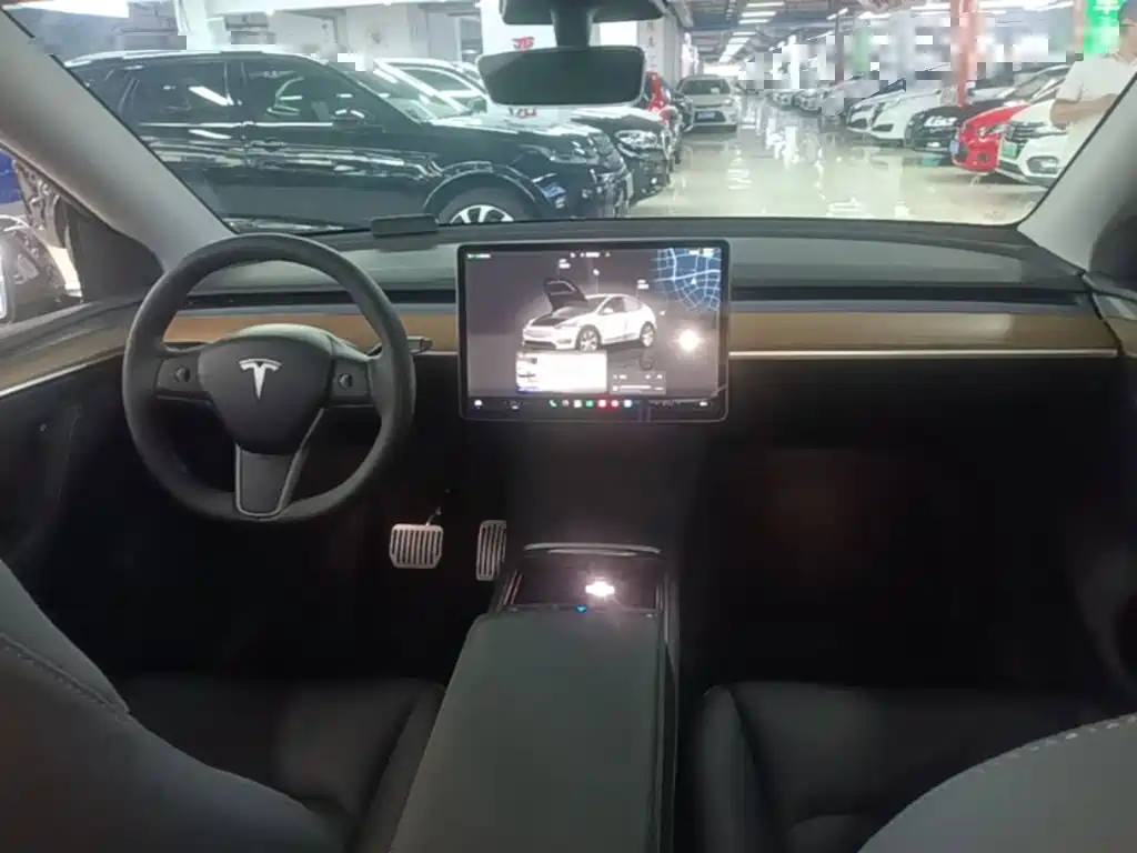 Tesla Model Y — миниатюра 10