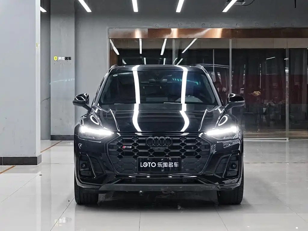Audi SQ5 — миниатюра 2
