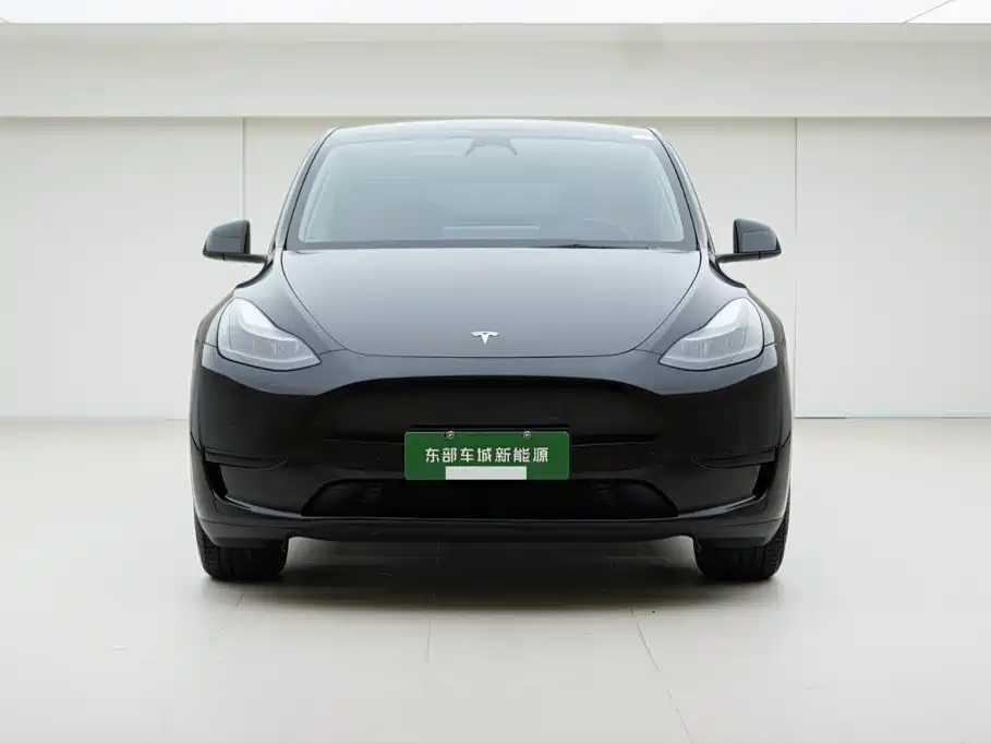 Tesla Model Y — миниатюра 2