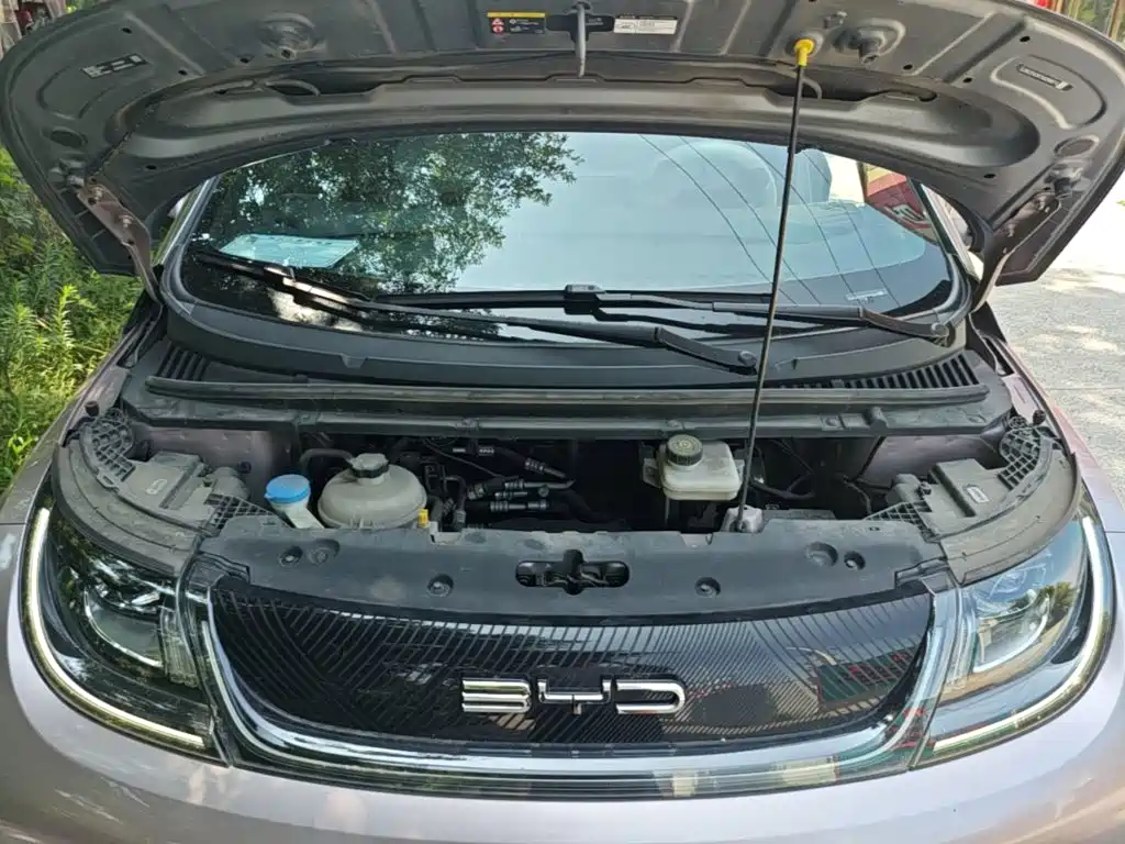BYD Dolphin — миниатюра 20