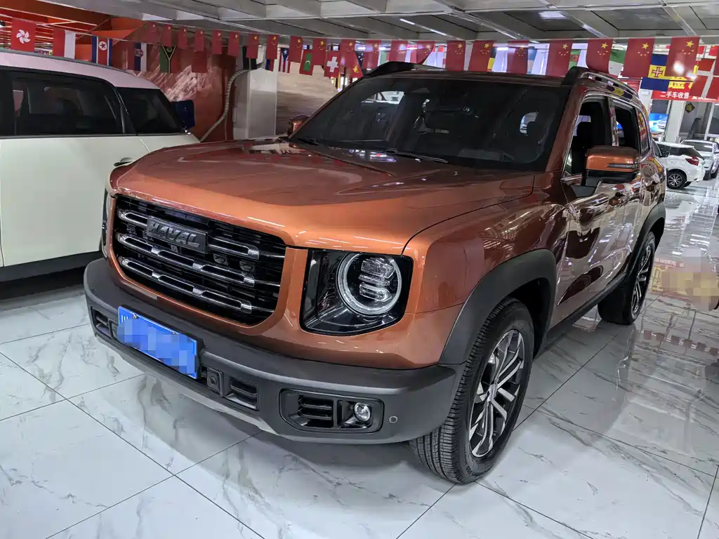 Haval Big Dog