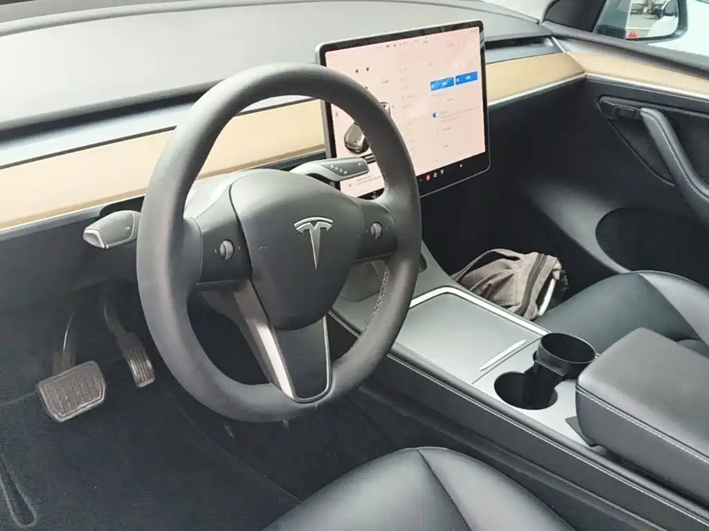Tesla Model Y — миниатюра 10