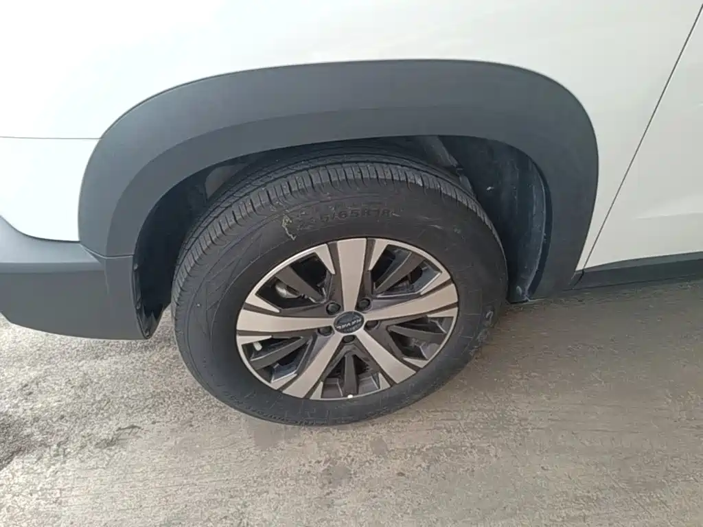 Haval Big Dog — миниатюра 23