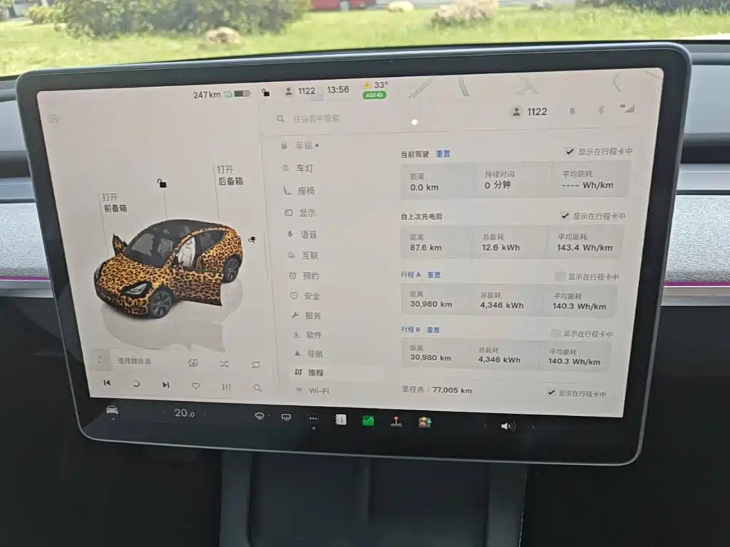 Tesla Model Y — миниатюра 12