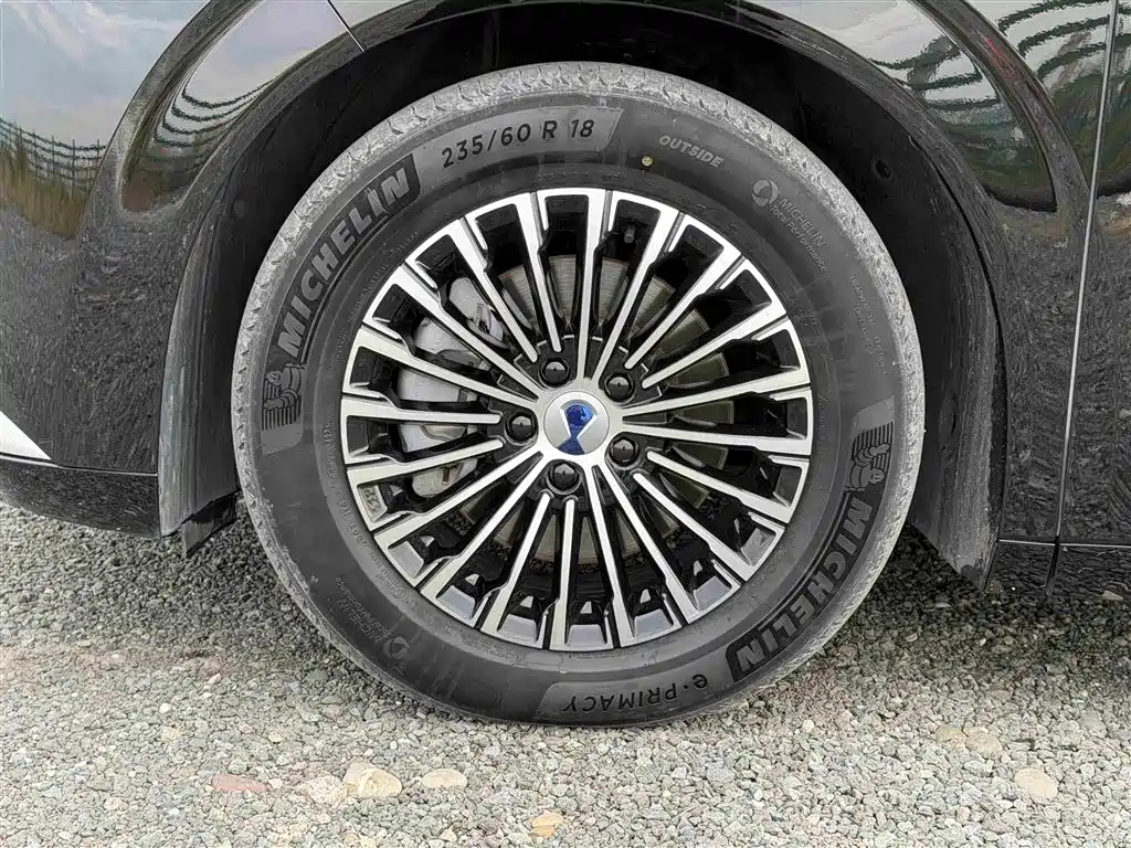 Denza Denza D9 — миниатюра 16