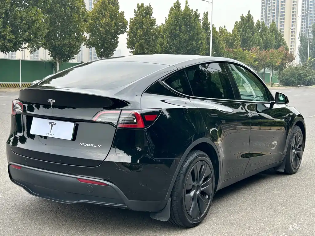 Tesla Model Y — миниатюра 18