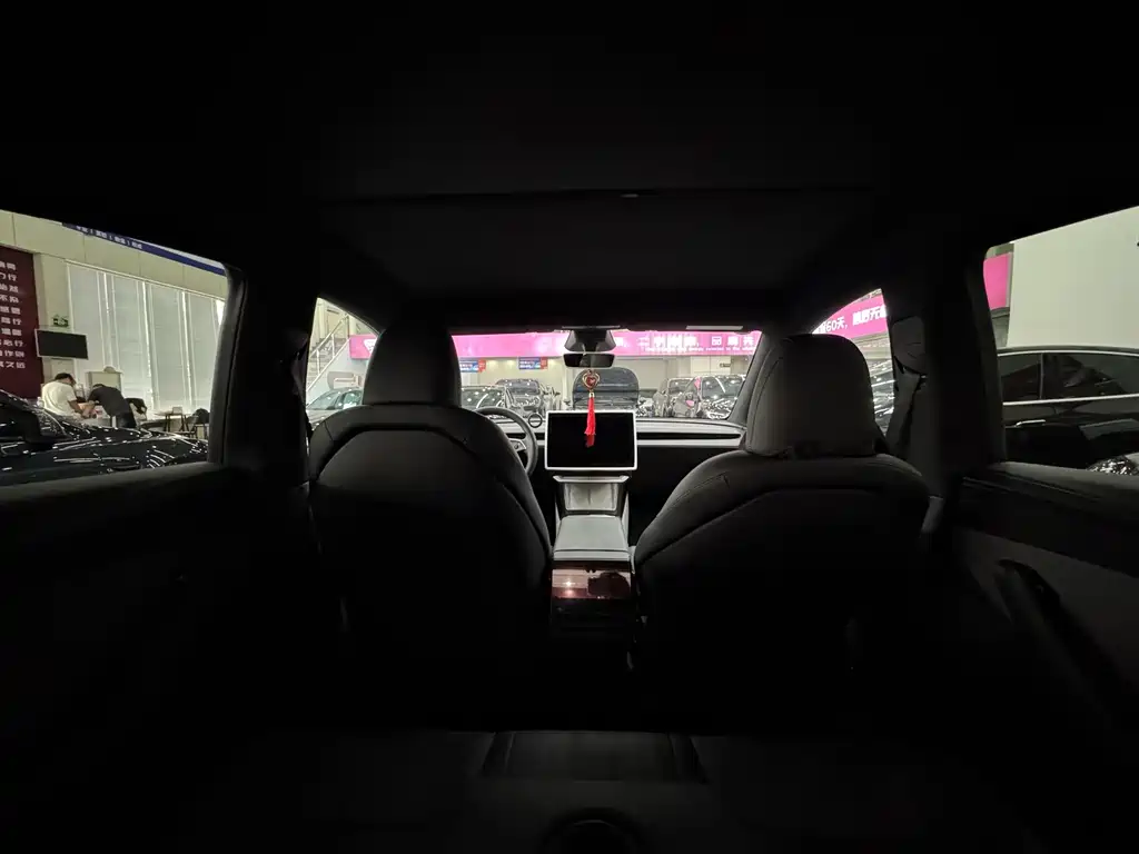 Tesla Model Y — миниатюра 16