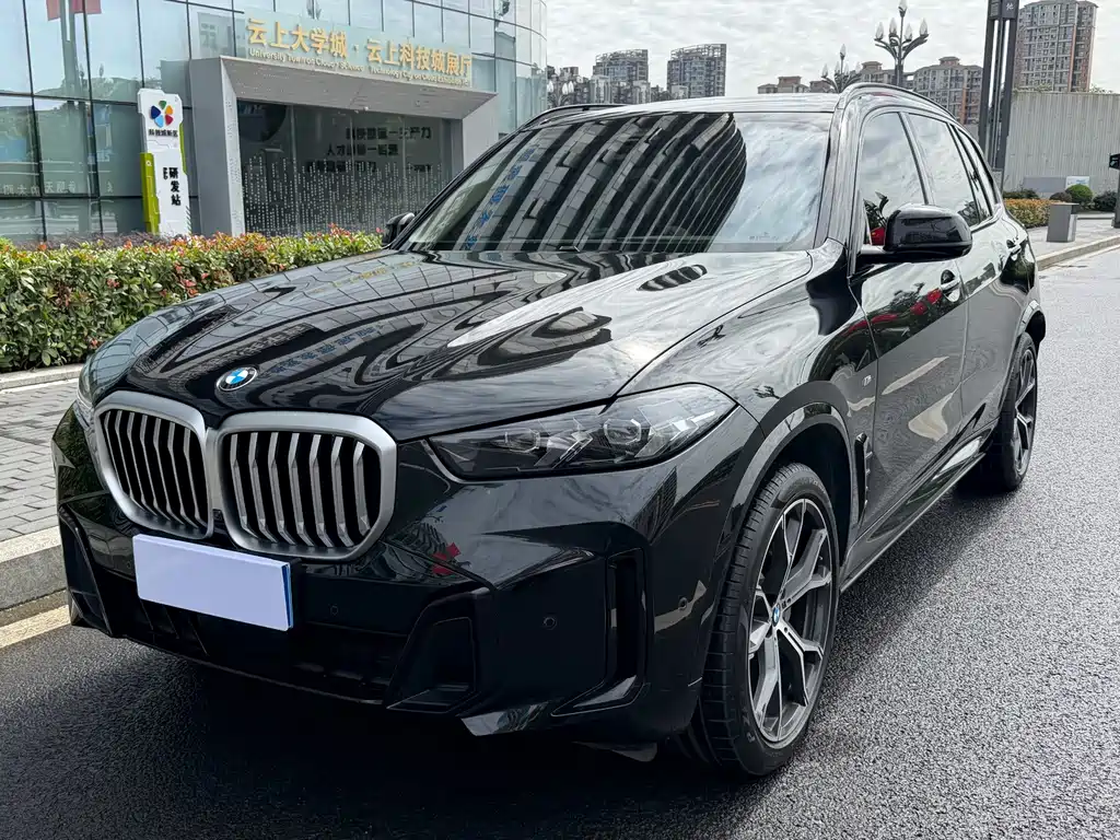 BMW X5 — миниатюра 11